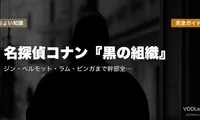 名探偵コナン『黒の組織』完全ガイド｜ジン・ベルモット・ラム・ピンガまで幹部全員と組織構造を徹底解説【2026年5月最新】