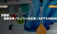 灰原哀 完全ガイド｜宮野志保／シェリーの正体・APTX4869開発者・劇場版『黒鉄の魚影』見どころ【2026年5月最新】