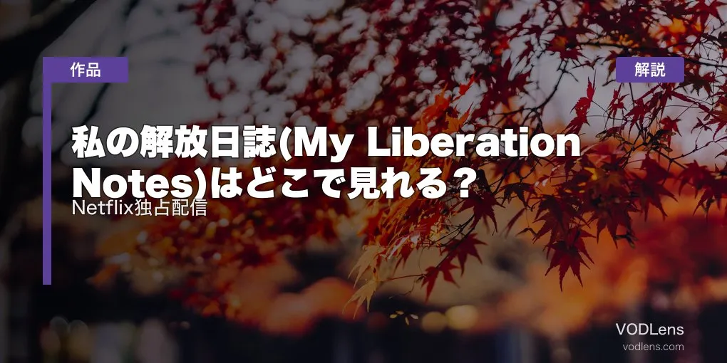 私の解放日誌(My Liberation Notes)はどこで見れる？Netflix独占配信を徹底解説