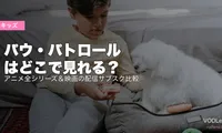 パウ・パトロールはどこで見れる？アニメ全シリーズ＆映画の配信サブスク比較【2026年6月最新】