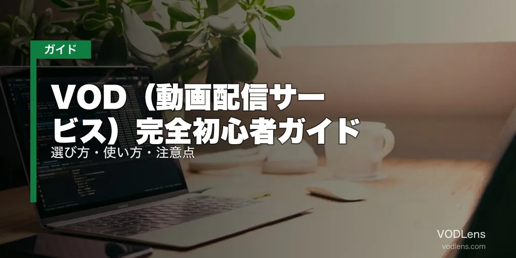 VOD（動画配信サービス）完全初心者ガイド｜選び方・使い方・注意点【2026年4月最新】